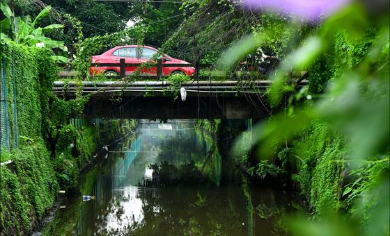 भारत: जलवायु परिवर्तन से निपटने के लिए ऐतिहासिक नहरों की पुनर्बहाली